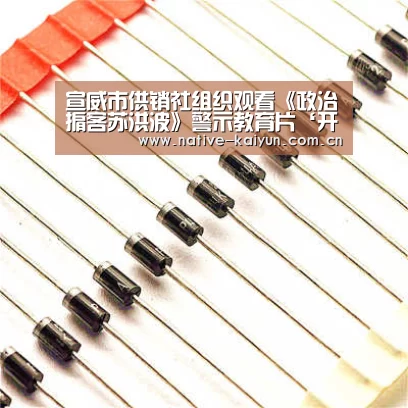 宣威市供销社组织观看《政治掮客苏洪波》警示教育片‘开元棋牌下载’(图1) 开元棋牌电脑版