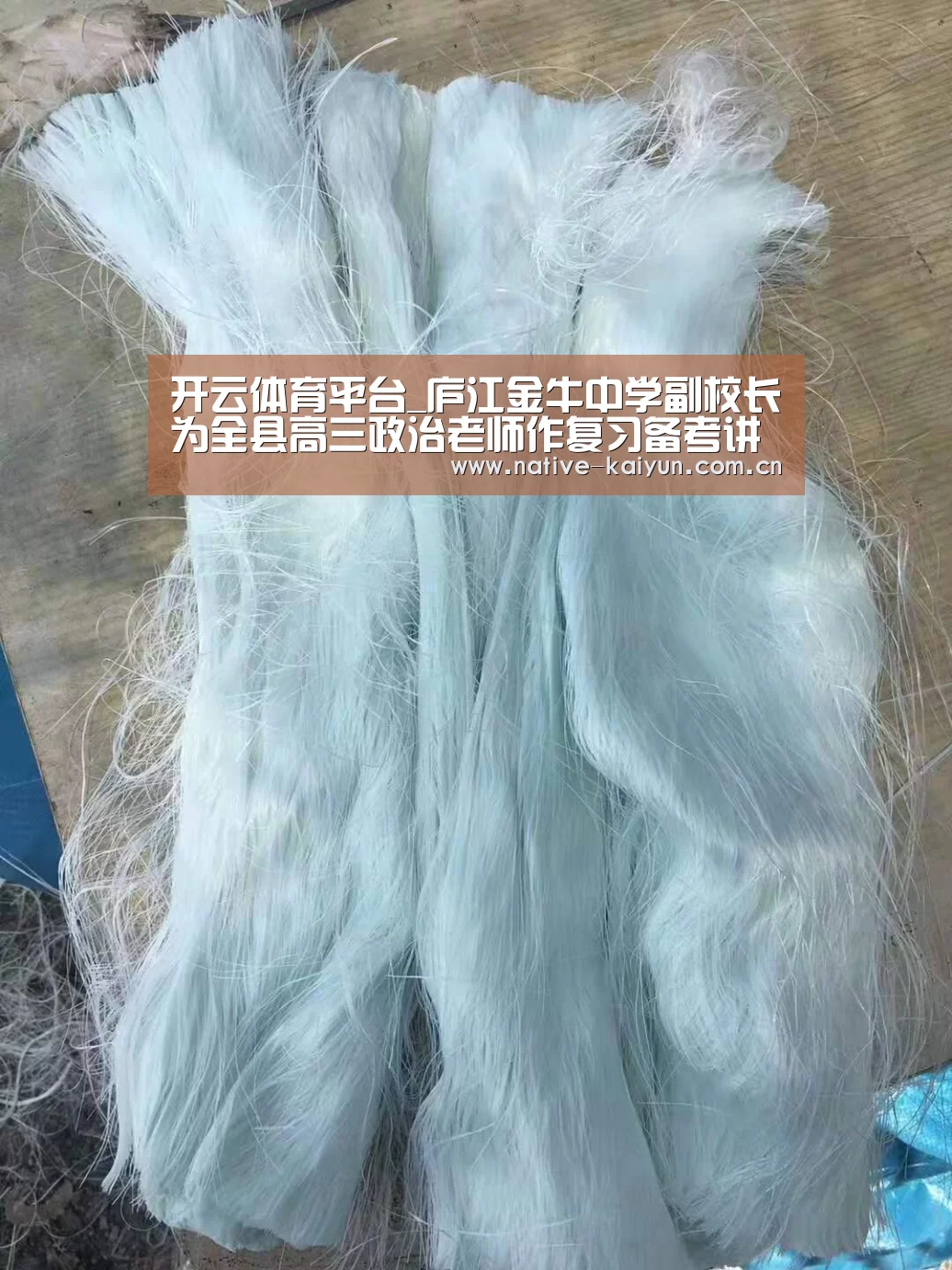 开云体育平台_庐江金牛中学副校长为全县高三政治老师作复习备考讲座(图4) 开云体育平台