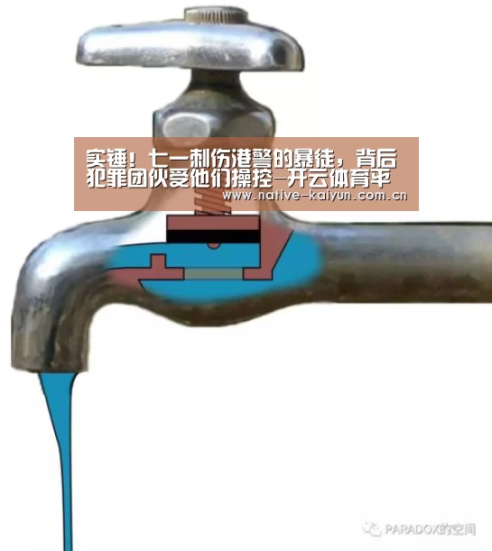 实锤!七一刺伤港警的暴徒,背后犯罪团伙受他们操控-开云体育平台(图3) 开元棋牌app
